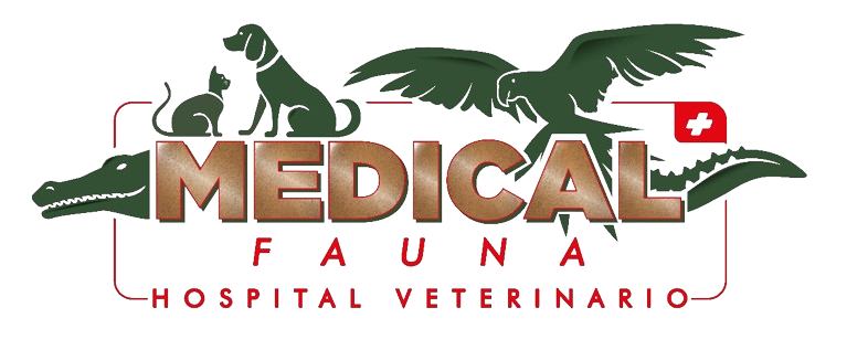 medicalfauna.com